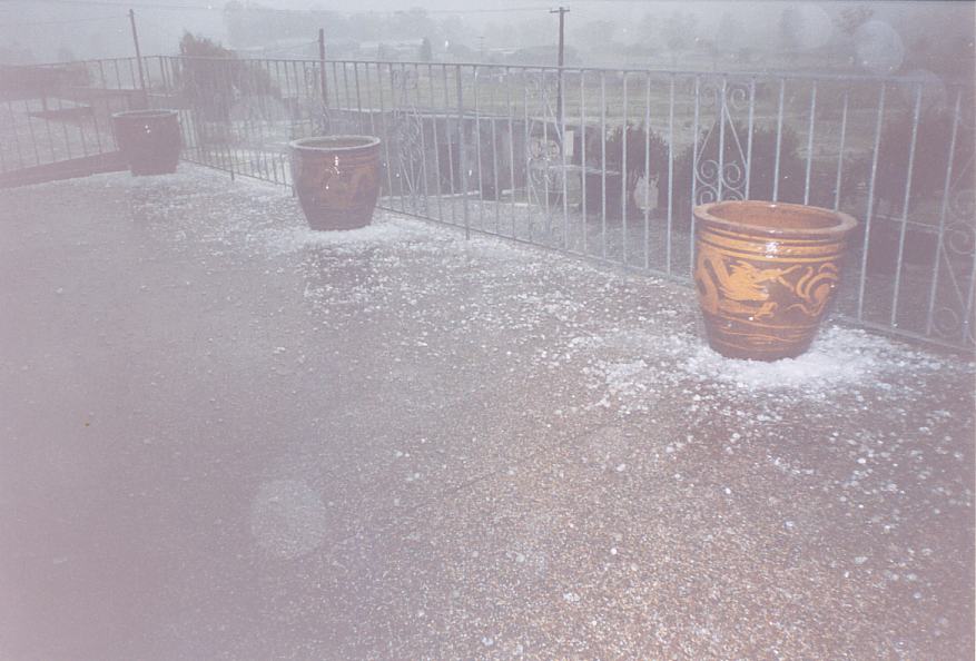 hailstones hail_stones : Schofields, NSW   25 October 2003