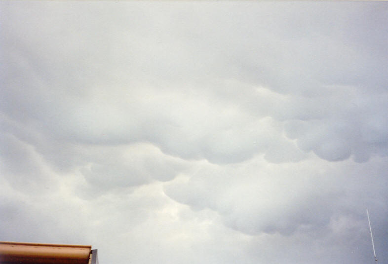 mammatus mammatus_cloud : McLeans Ridges, NSW   25 October 2003