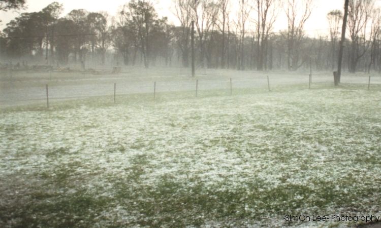 contributions received : Riverstone, NSW<BR>Photo by Simon Saliba   25 October 2003