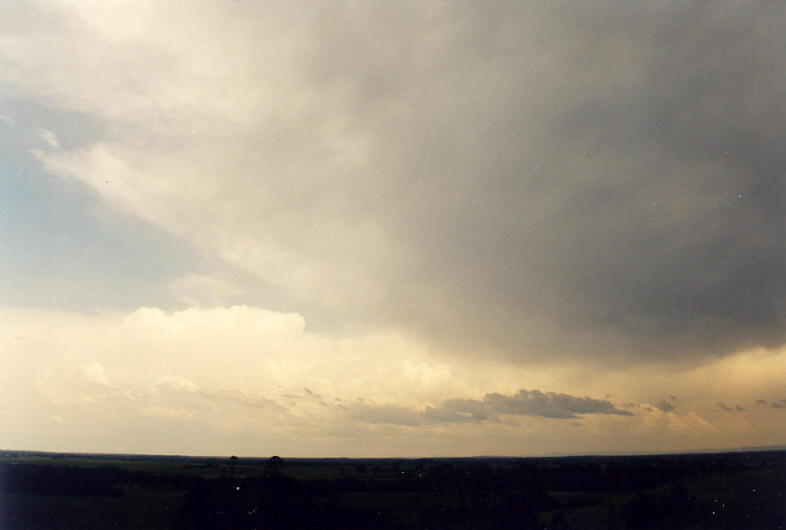 anvil thunderstorm_anvils : McLeans Ridges, NSW   26 October 2003