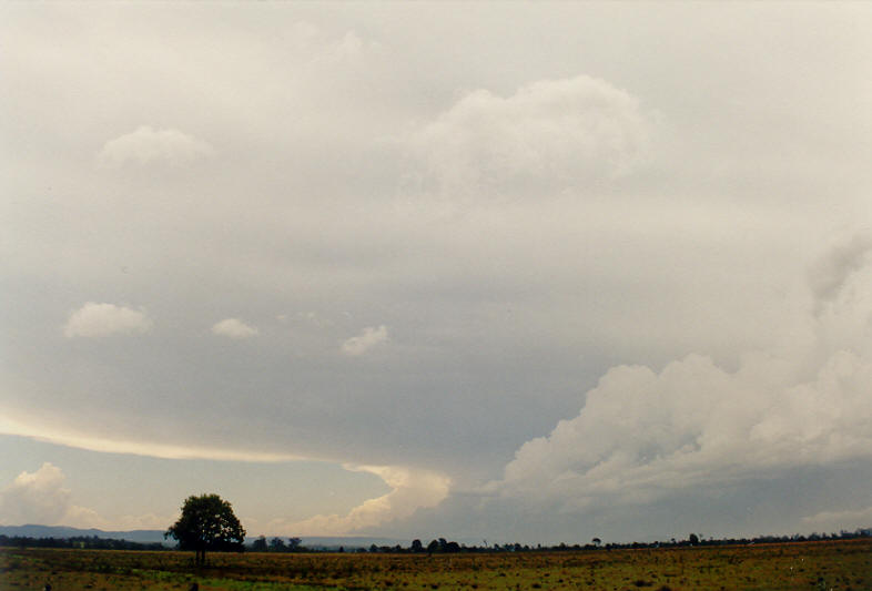 anvil thunderstorm_anvils : N of Casino, NSW   26 October 2003