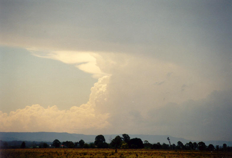 updraft thunderstorm_updrafts : N of Casino, NSW   26 October 2003