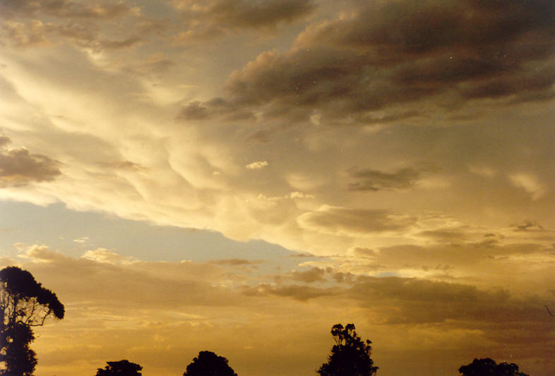 sunset sunset_pictures : McLeans Ridges, NSW   12 November 2003