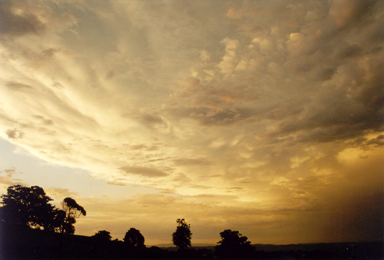 sunset sunset_pictures : McLeans Ridges, NSW   12 November 2003