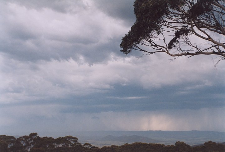 contributions received : Mt Lambie, NSW<BR>Photo by Geoff Thurtell   16 November 2003