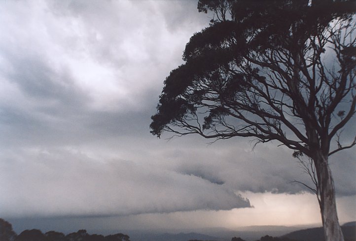 contributions received : Mt Lambie, NSW<BR>Photo by Geoff Thurtell   16 November 2003