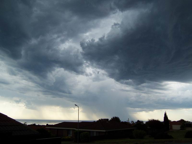 contributions received : Hallett Cove, SA<BR>Photo by Sharon Hayes   19 November 2003