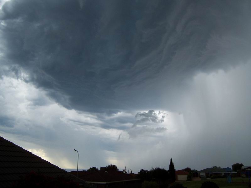 contributions received : Hallett Cove, SA<BR>Photo by Sharon Hayes   19 November 2003