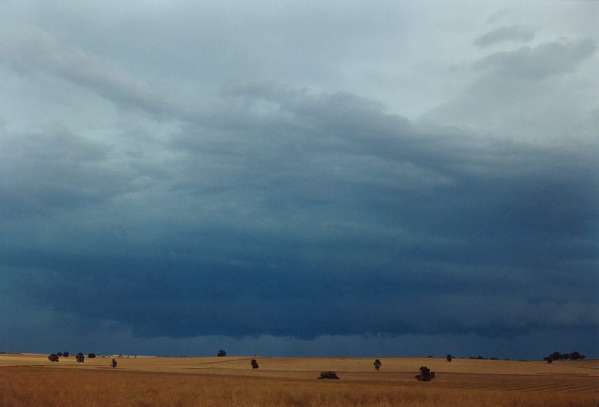 cumulonimbus supercell_thunderstorm : Temora, NSW   21 November 2003
