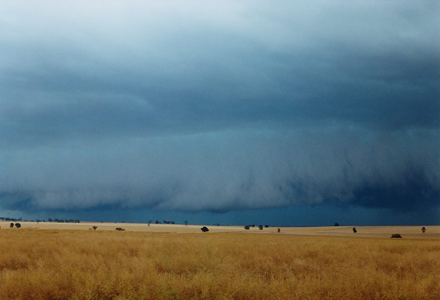 cumulonimbus supercell_thunderstorm : Temora, NSW   21 November 2003