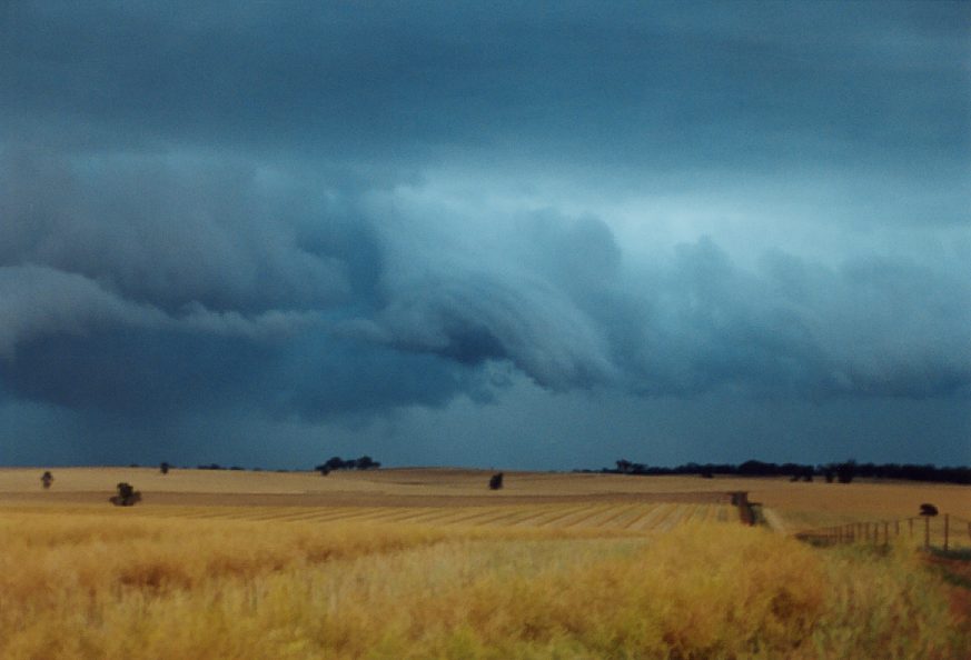 cumulonimbus thunderstorm_base : Temora, NSW   21 November 2003