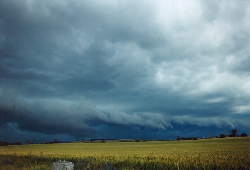 cumulonimbus supercell_thunderstorm : Temora, NSW   21 November 2003