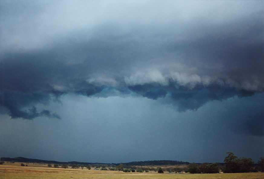 shelfcloud shelf_cloud : E of Mullaley, NSW   22 November 2003