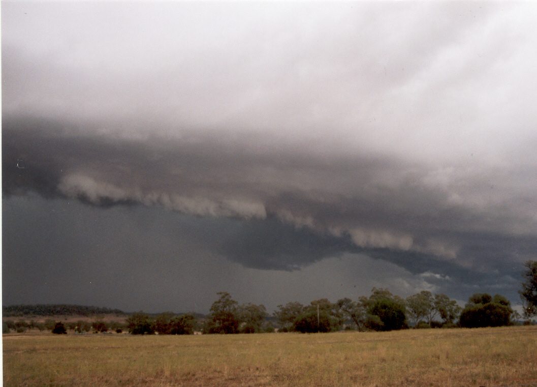 contributions received : E of Mullaley, NSW<BR>Photo by Maarten Brandt   22 November 2003