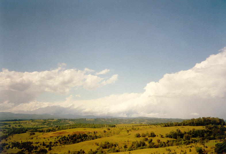 thunderstorm cumulonimbus_incus : McLeans Ridges, NSW   23 November 2003