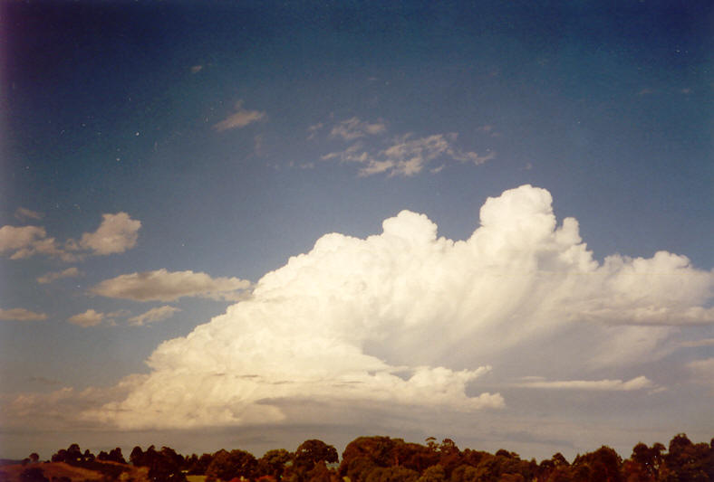 thunderstorm cumulonimbus_incus : McLeans Ridges, NSW   23 November 2003