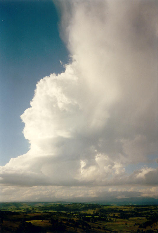 anvil thunderstorm_anvils : McLeans Ridges, NSW   23 November 2003