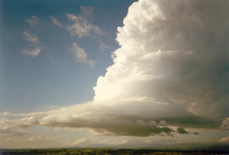 thunderstorm cumulonimbus_incus : McLeans Ridges, NSW   23 November 2003