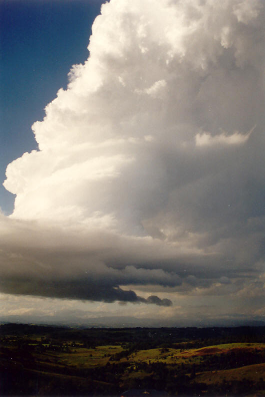 thunderstorm cumulonimbus_incus : McLeans Ridges, NSW   23 November 2003