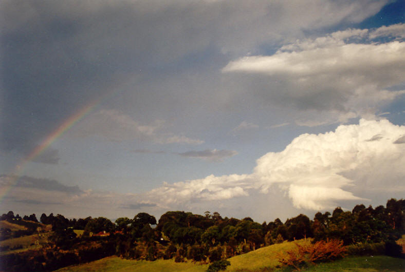 thunderstorm cumulonimbus_incus : McLeans Ridges, NSW   23 November 2003