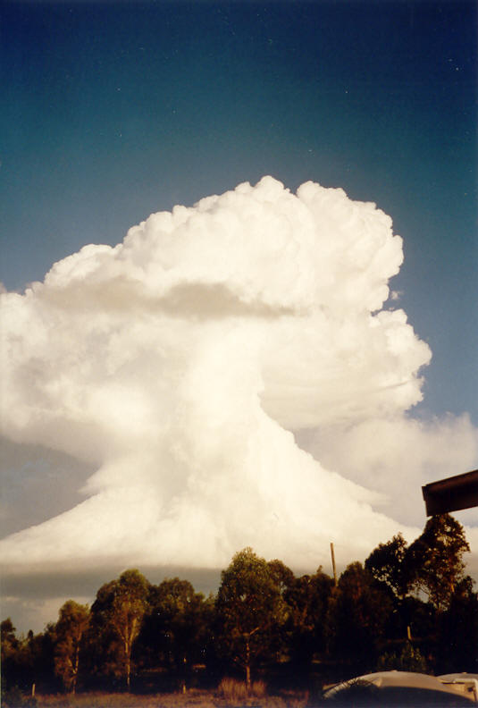 updraft thunderstorm_updrafts : McLeans Ridges, NSW   23 November 2003