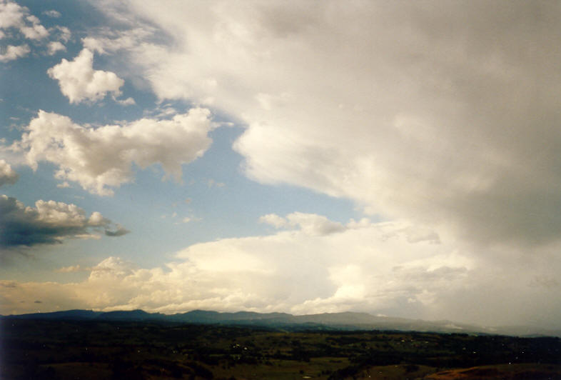 thunderstorm cumulonimbus_incus : McLeans Ridges, NSW   24 November 2003