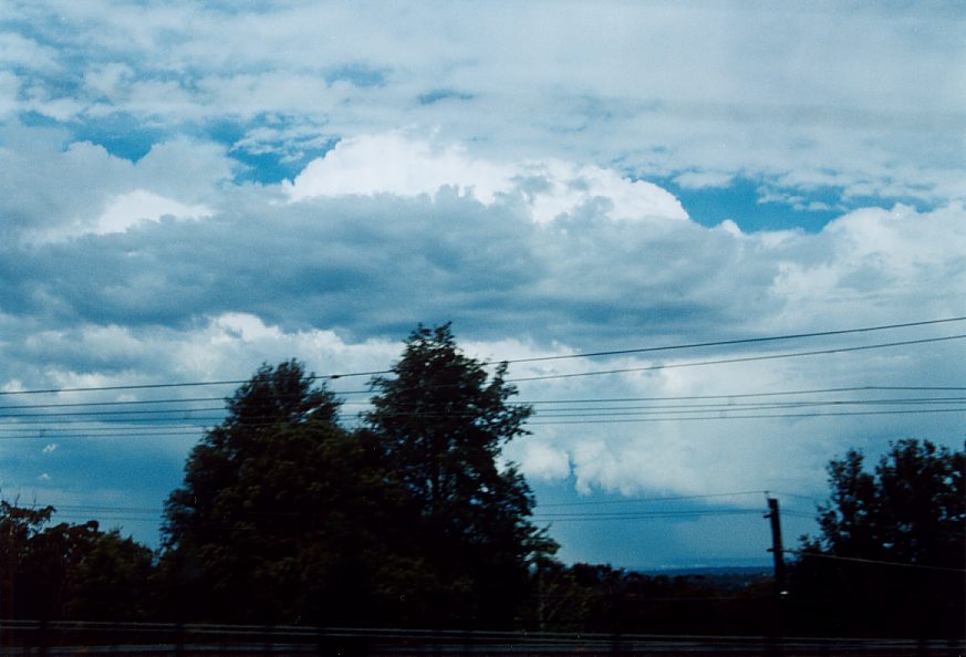 thunderstorm cumulonimbus_calvus : near Blaxland, NSW   30 November 2003