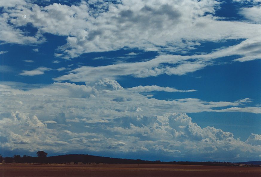 thunderstorm cumulonimbus_incus : N of Narrandera, NSW   1 December 2003