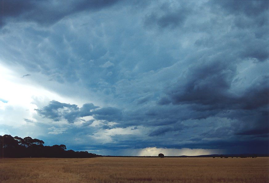 cumulonimbus thunderstorm_base : N of Griffith, NSW   1 December 2003