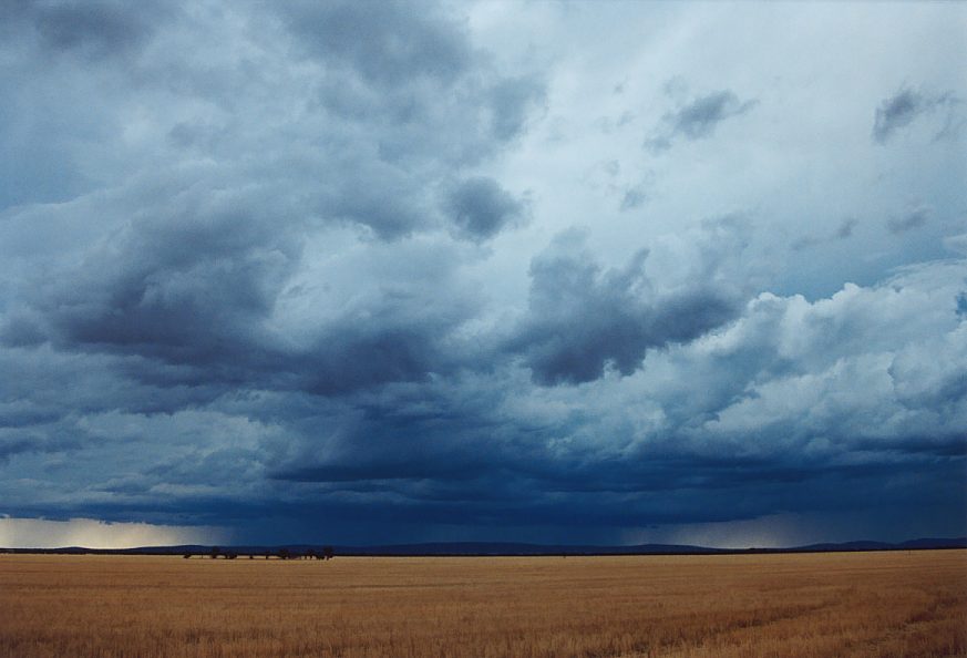 cumulus mediocris : N of Griffith, NSW   1 December 2003