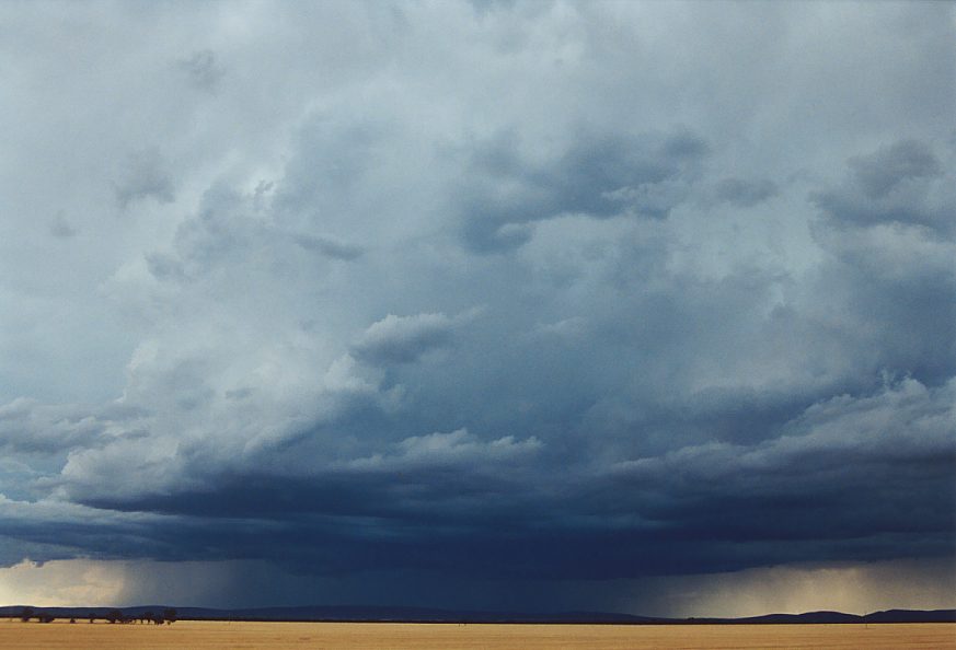 cumulonimbus thunderstorm_base : N of Griffith, NSW   1 December 2003