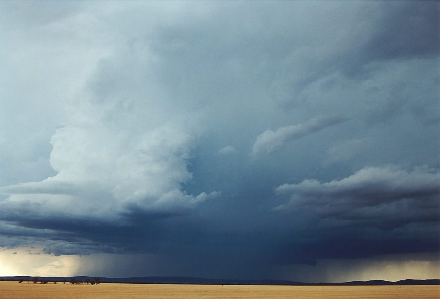 cumulonimbus thunderstorm_base : N of Griffith, NSW   1 December 2003