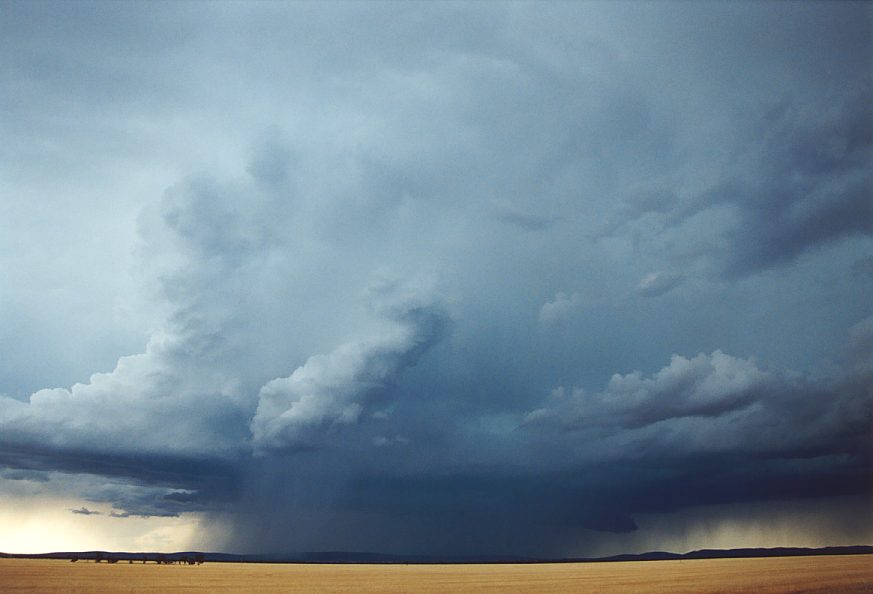 thunderstorm cumulonimbus_incus : N of Griffith, NSW   1 December 2003