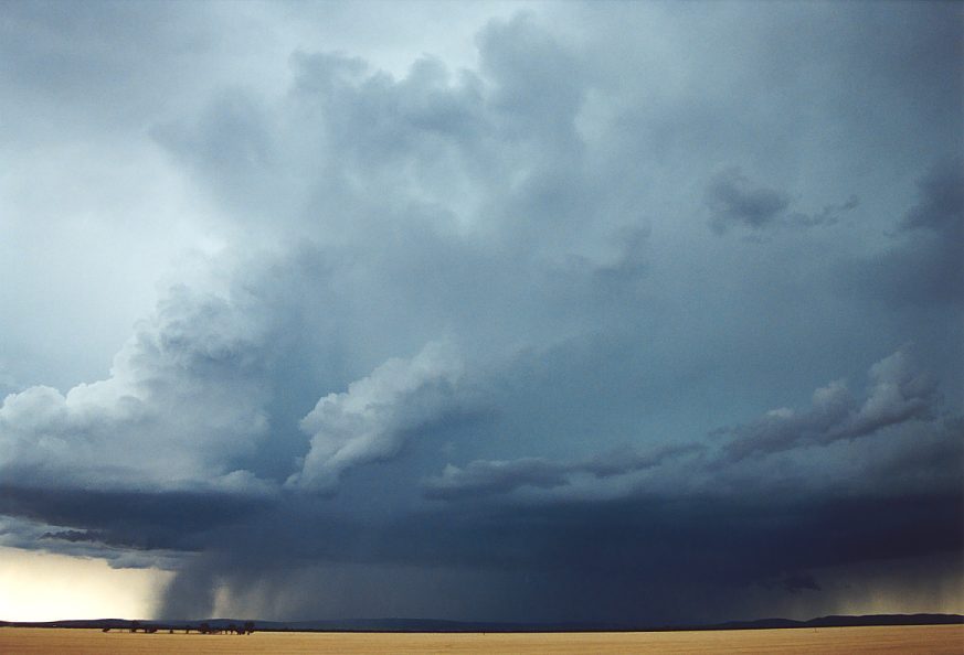 thunderstorm cumulonimbus_incus : N of Griffith, NSW   1 December 2003