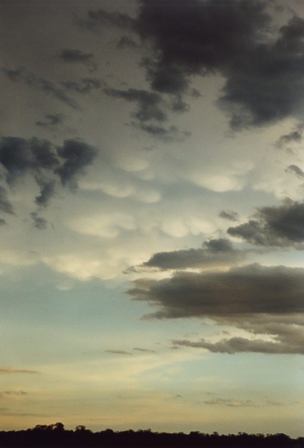 cumulus humilis : south Griffith, NSW   1 December 2003