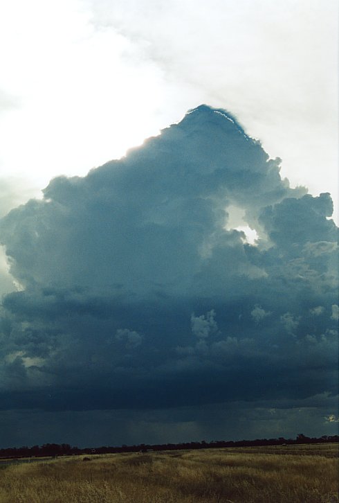 thunderstorm cumulonimbus_calvus : E of Hay, NSW   3 December 2003