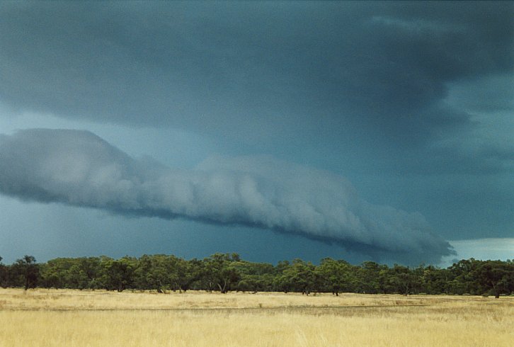 shelfcloud shelf_cloud : E of Hay, NSW   3 December 2003