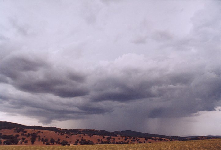 contributions received : Wallabadah, NSW<BR>Photo by Geoff Thurtell   10 January 2004