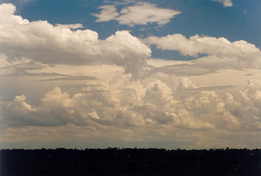 cumulus congestus : Parrots Nest, NSW   24 January 2004