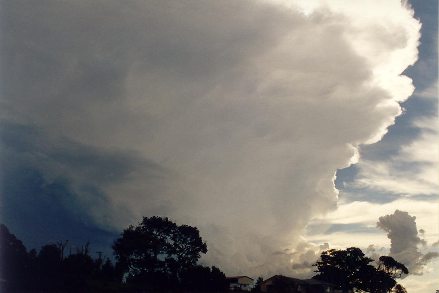 anvil thunderstorm_anvils : McLeans Ridges, NSW   25 January 2004