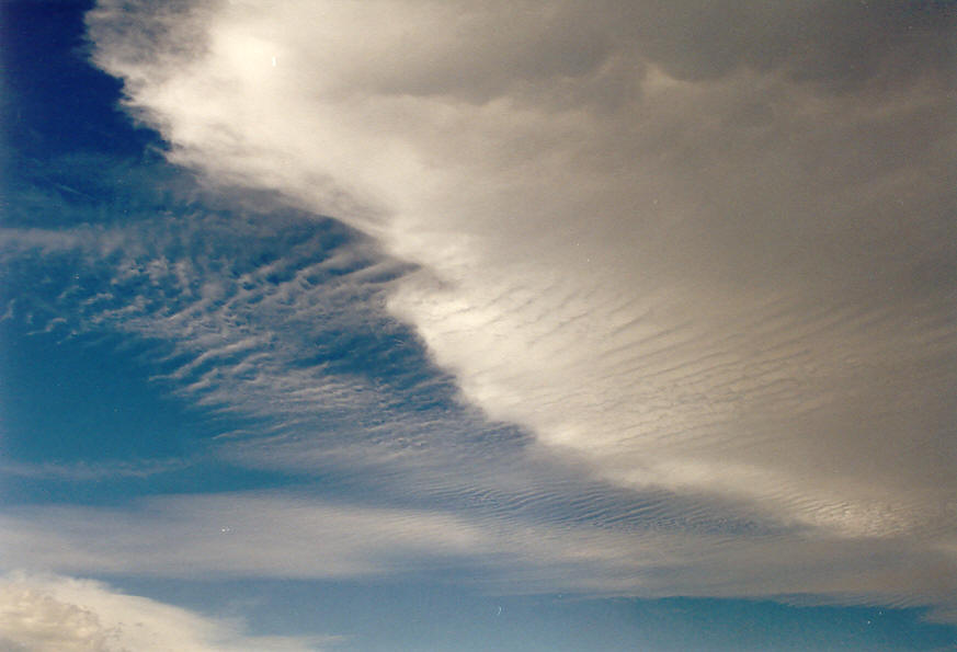 altocumulus undulatus : McLeans Ridges, NSW   25 January 2004