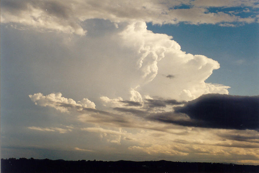 thunderstorm cumulonimbus_incus : N of Casino, NSW   26 January 2004