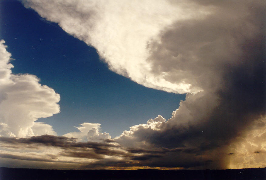 anvil thunderstorm_anvils : N of Casino, NSW   26 January 2004