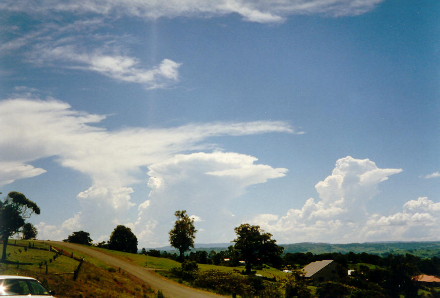 thunderstorm cumulonimbus_incus : McLeans Ridges, NSW   26 January 2004