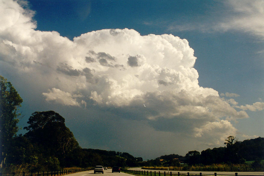 thunderstorm cumulonimbus_incus : Tweed Coast, NSW   28 January 2004