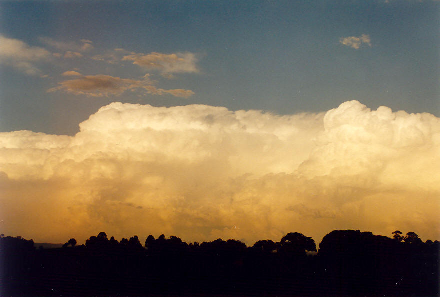 thunderstorm cumulonimbus_incus : McLeans Ridges, NSW   28 January 2004