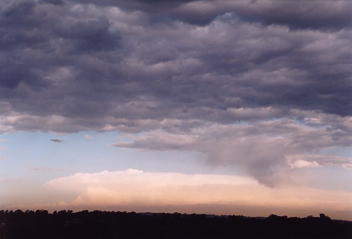 contributions received : Schofields, NSW<BR>Photo by Geoff Thurtell   30 January 2004