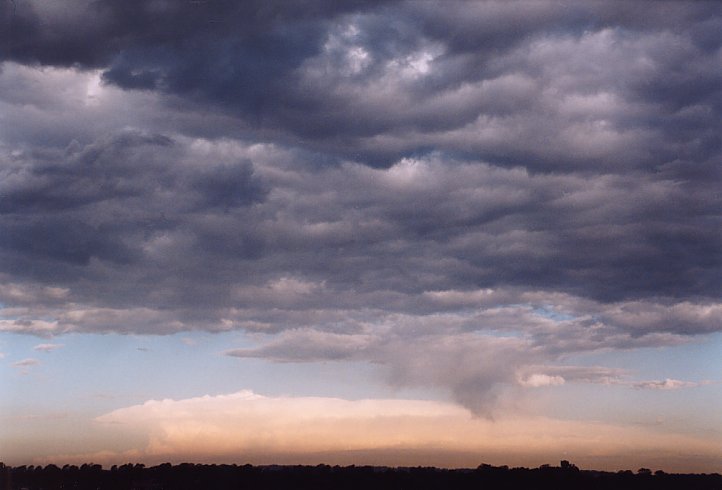 contributions received : Schofields, NSW<BR>Photo by Geoff Thurtell   30 January 2004