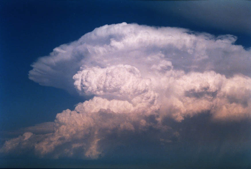 anvil thunderstorm_anvils : near Manly, NSW   30 January 2004