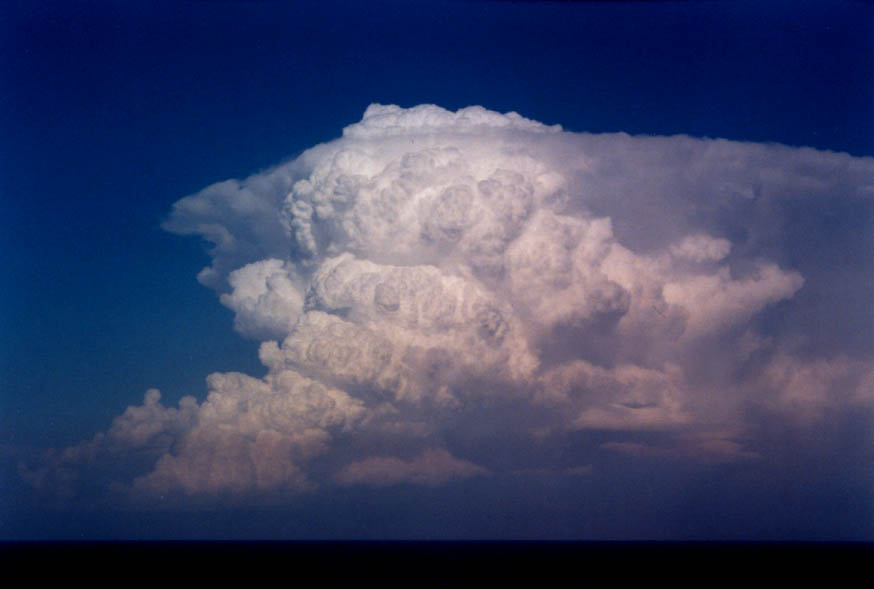 updraft thunderstorm_updrafts : near Manly, NSW   30 January 2004